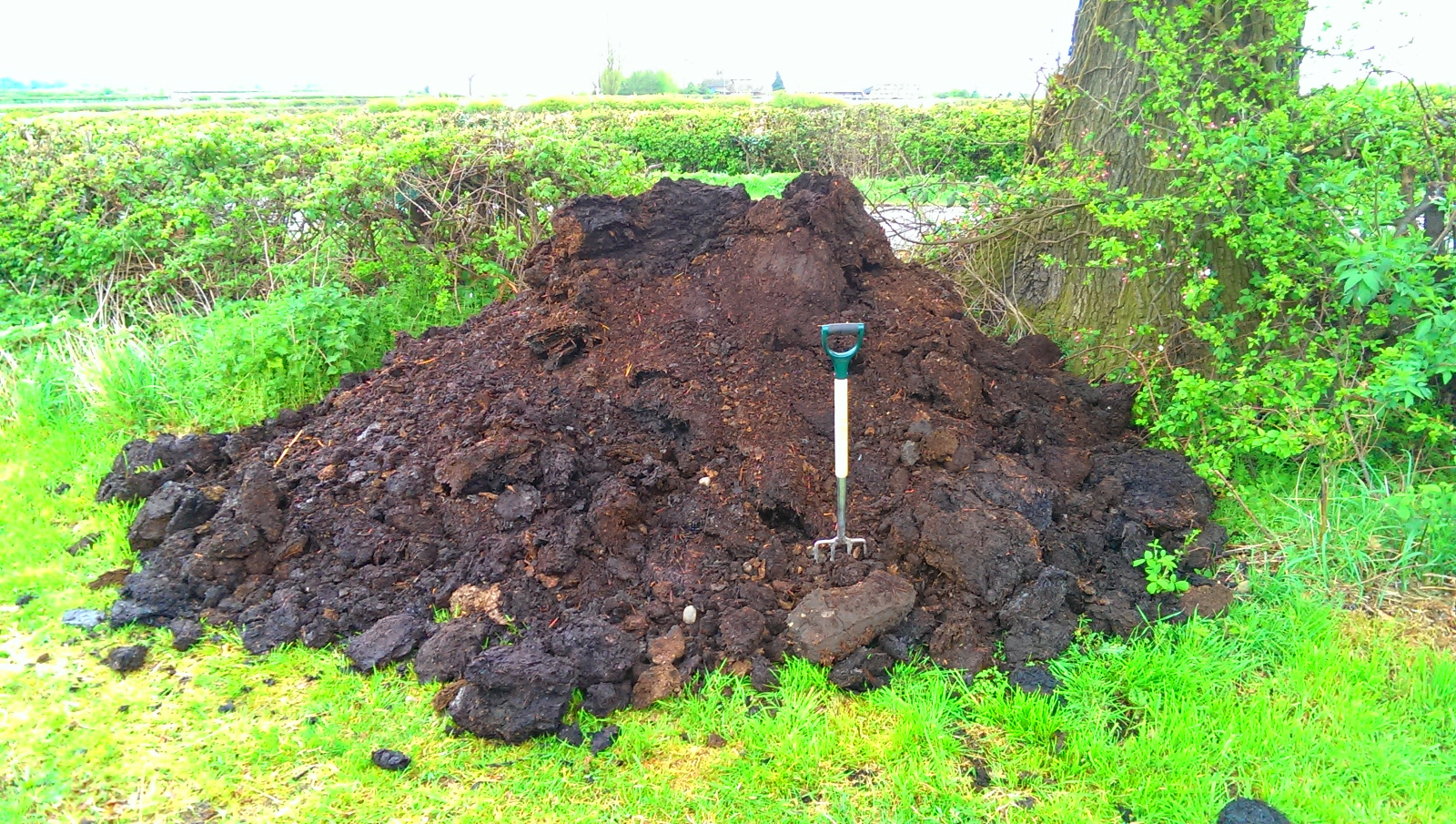 Manure to spread at VegPlotter Allotment site