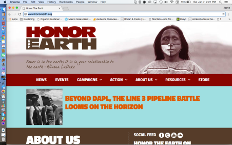 Honor The Earth Website