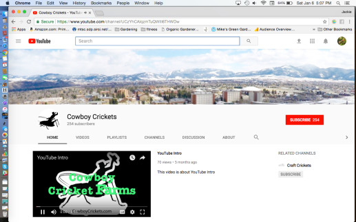Cowboy Crickets Farm YouTube Page