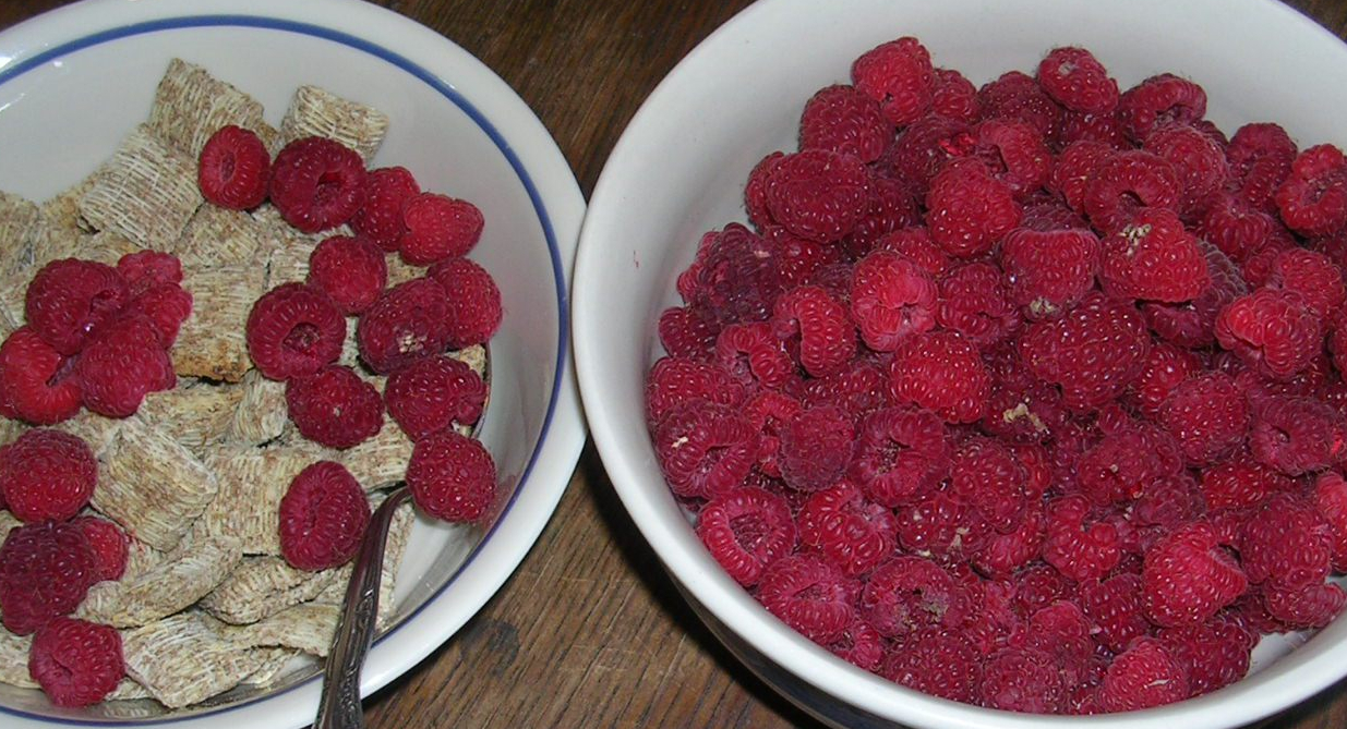 raspberry harvest with cereal